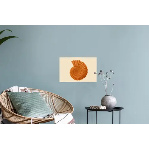 Schelp - Oranje - Ribbels Muursticker klein -plant