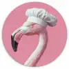 Flamingo - Roze - Koksmuts - Vogel Wandcirkel kunststof plaat 5mm dik klein -3d