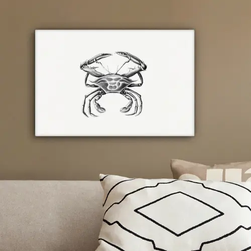 Ernst Haeckel - Vintage - Kunst - Krab canvas 2cm klein -sfeer3