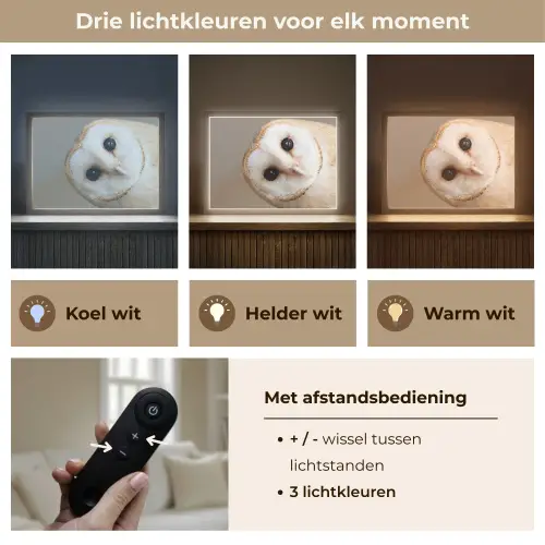 Uil - Bruin - Wit Light Box met batterij (Wandlamp) middel -USP_lichtkleurNL