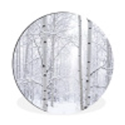 Berkenbomen - Sneeuw - Winter - Bos - Wit Wandcirkel aluminium klein -3d