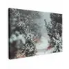 Bos - Winter - Bomen - Natuur - Pad - Sneeuw Tuinposter op houten frame 2 cm dik klein -3d