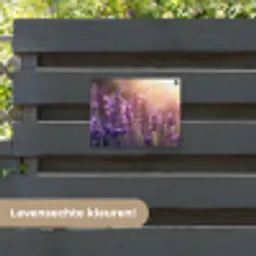 Lavendelbloemen - Paars - Zonlicht tuinposter los doek klein -sfeer3