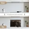 Schotse hooglander - Goud - Koebel - Hoorns - Dieren keuken achterwand spatscherm klein -voor_na_NL