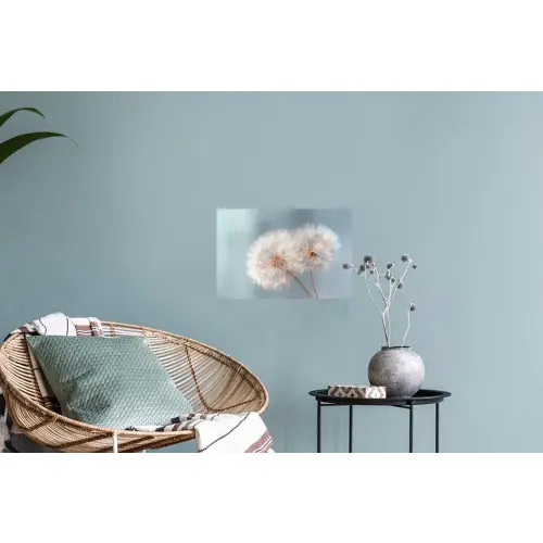 Paardenbloemen - Pluisjes - Wit Muursticker klein -plant