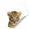 Leeuw - Kinderen - Wilde dieren - Welp - Jongen Wandcirkel behangsticker klein -3d