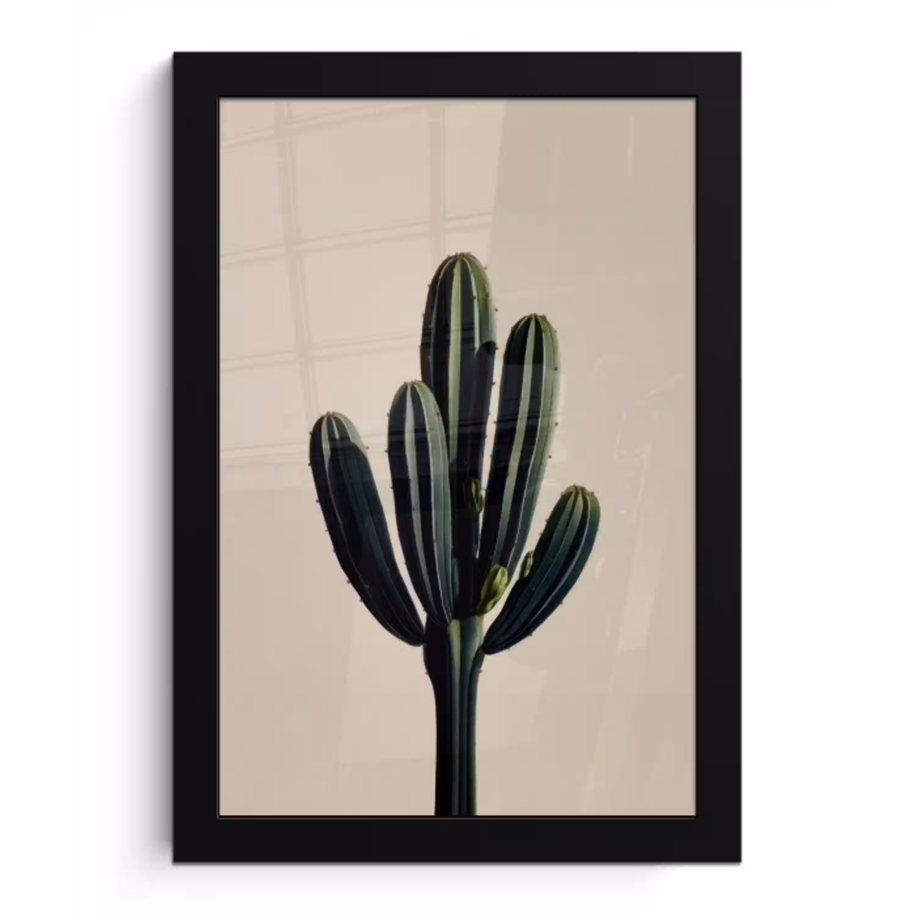 Cactus - Subtiel - Groen fotolijst zwart zonder passe partout klein -3d
