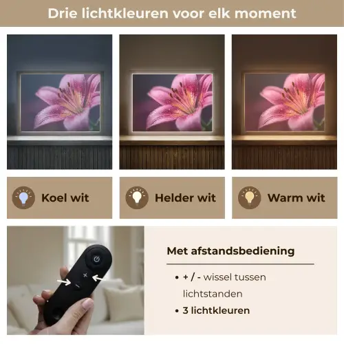 Roze - lelie - Dauwdruppels Light Box met batterij (Wandlamp) middel -USP_lichtkleurNL