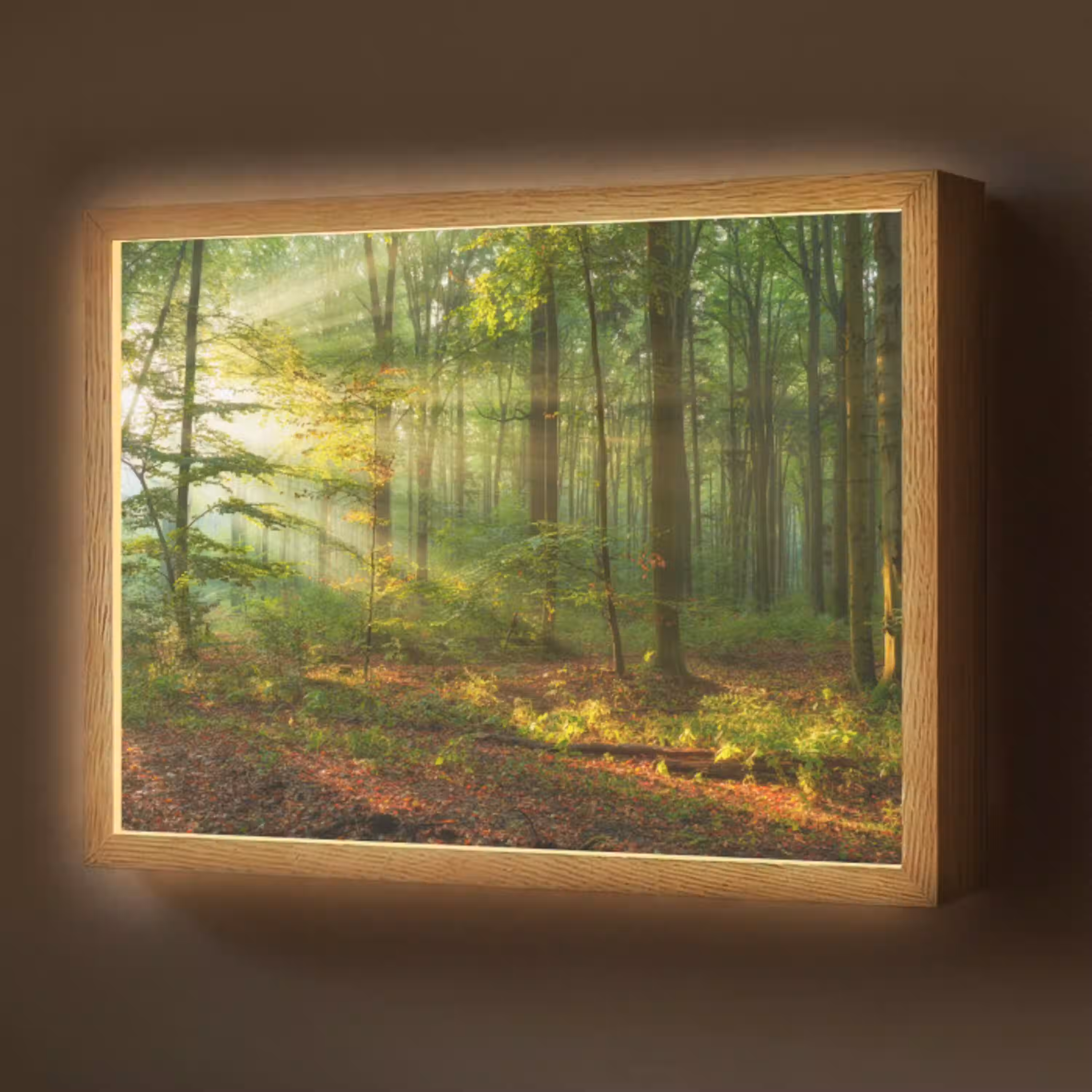 Zon - Bos - Bomen - Natuur - Herfst Light Box met batterij (Wandlamp) middel -z3d_website