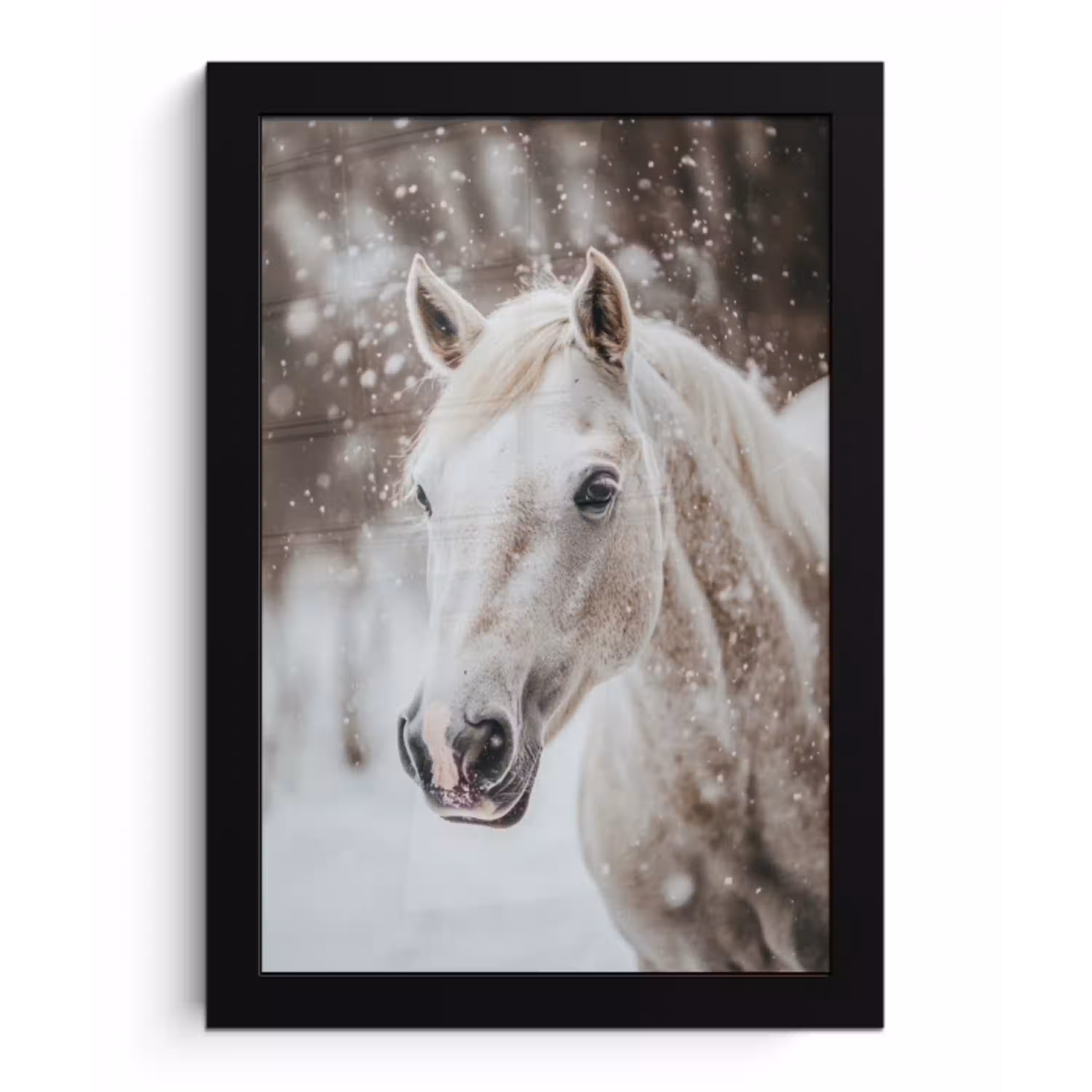 Paard - Wit - Winter - Natuur - Sneeuw - Dieren fotolijst zwart zonder passe partout klein -3d