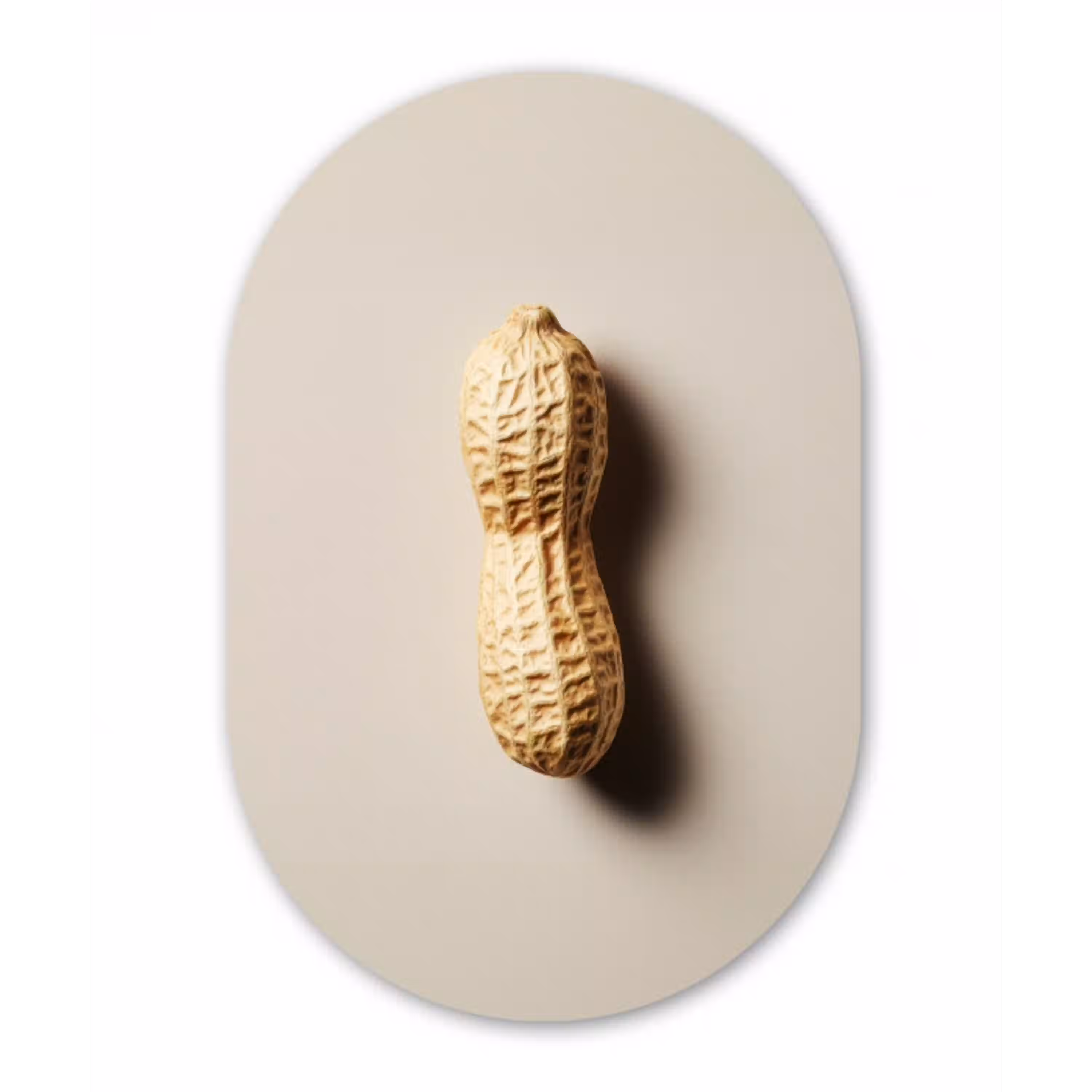 Pinda - Ruw - Beige Wandcirkel Ovaal Aluminium middel -3d