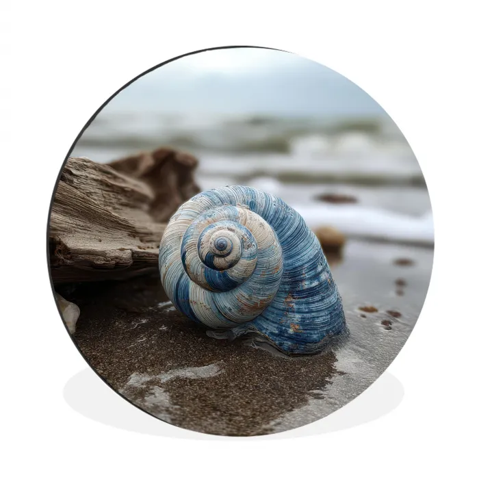 Schelp - Strand - Blauw - Zee Wandcirkel aluminium klein -3d