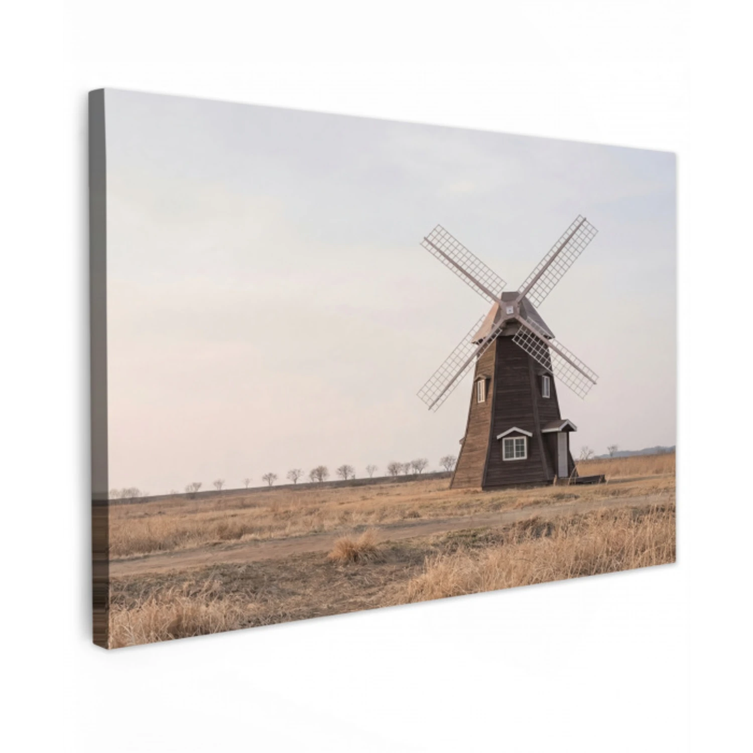 Windmolens - Landschap - Veld Tuinposter op houten frame 2 cm dik klein -3d