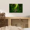 Jungle - Water - Bladeren - Zon - Natuur aluminium wit klein -sfeer3