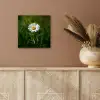 Wit - Madeliefje - Bloem - Gras aluminium wit klein -sfeer4