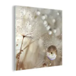 Natuur - Bloemen - Druppels - Regen plexiglas 5mm klein -z3d