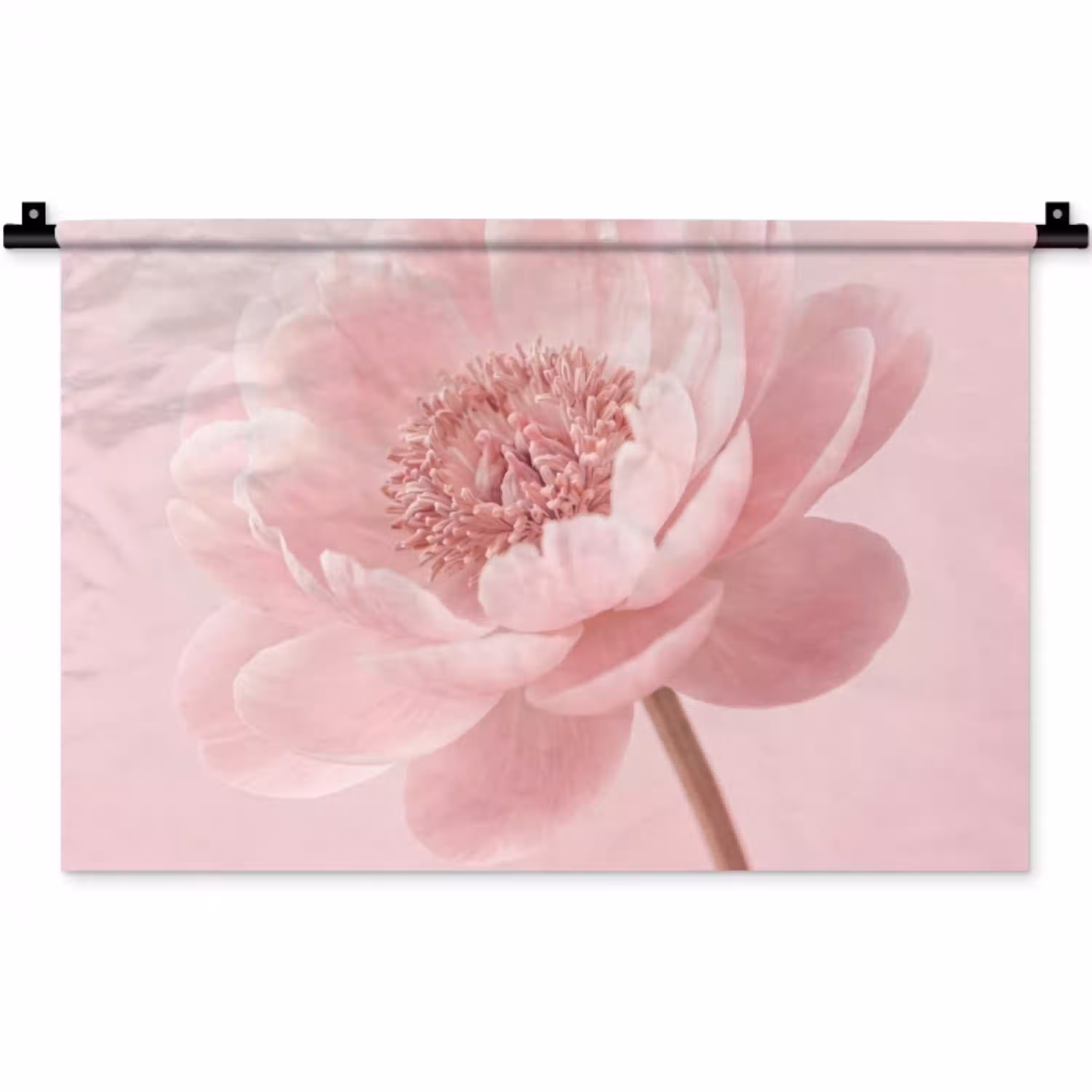 Bloem - Pioenroos - Roze Wandkleed katoen klein -zz3d