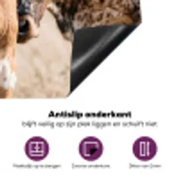 Texas Longhorn - Kalf - Weide - Dieren Inductie beschermer vinyl 3mm klein -zzzzzzz-cc-onderkant