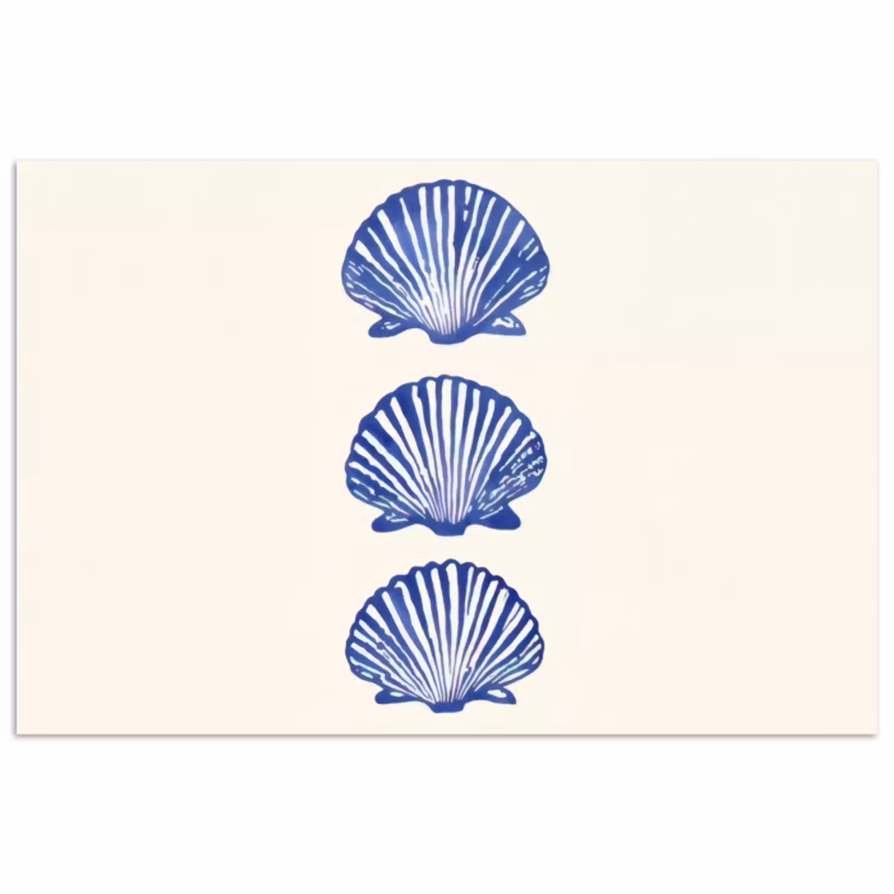 Schelpen - Blauw - Patroon poster papier klein -3d