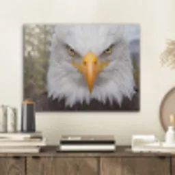 Amerikaans - Zeearend - Portret - Geel PET vilt klein -sfeer1