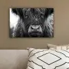 Schotse hooglander - Zwart - Wit - Sneeuwvlokken canvas 2cm klein -sfeer3