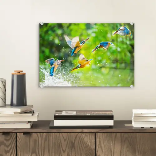 IJsvogels vliegen in het water plexiglas 5mm klein -sfeer1
