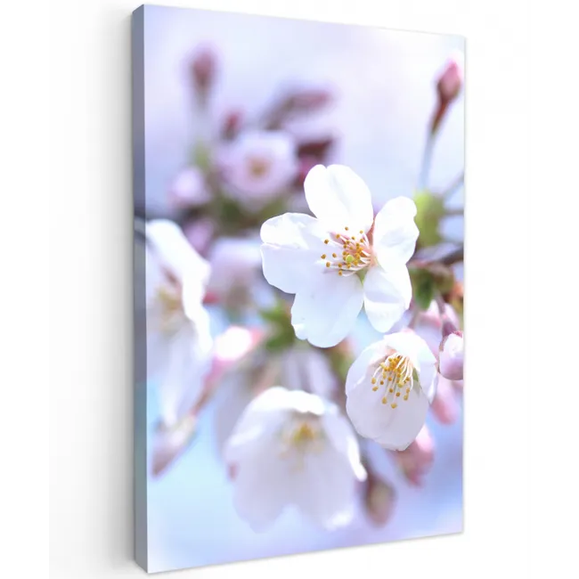 Bloemen - Sakura - Tak - Bloesem takken canvas 2cm klein -z3d