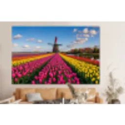 Tulpen - Holland - Molen - Kleurrijk forex 5mm xxl -bovenbank