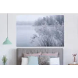 Riet - Bevroren - Winter - Natuur forex 5mm xxl -slaapkamer