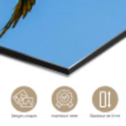 Papagaai - Vliegen - Blauw - Geel aluminium wit klein -closeup_FR