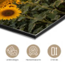 Zonnebloemen - Heuvellandschap - Geel aluminium wit klein -closeup_NL