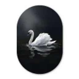 Zwaan - Water - Natuur - Realistisch - Wit Wandcirkel Ovaal Forex klein -3d