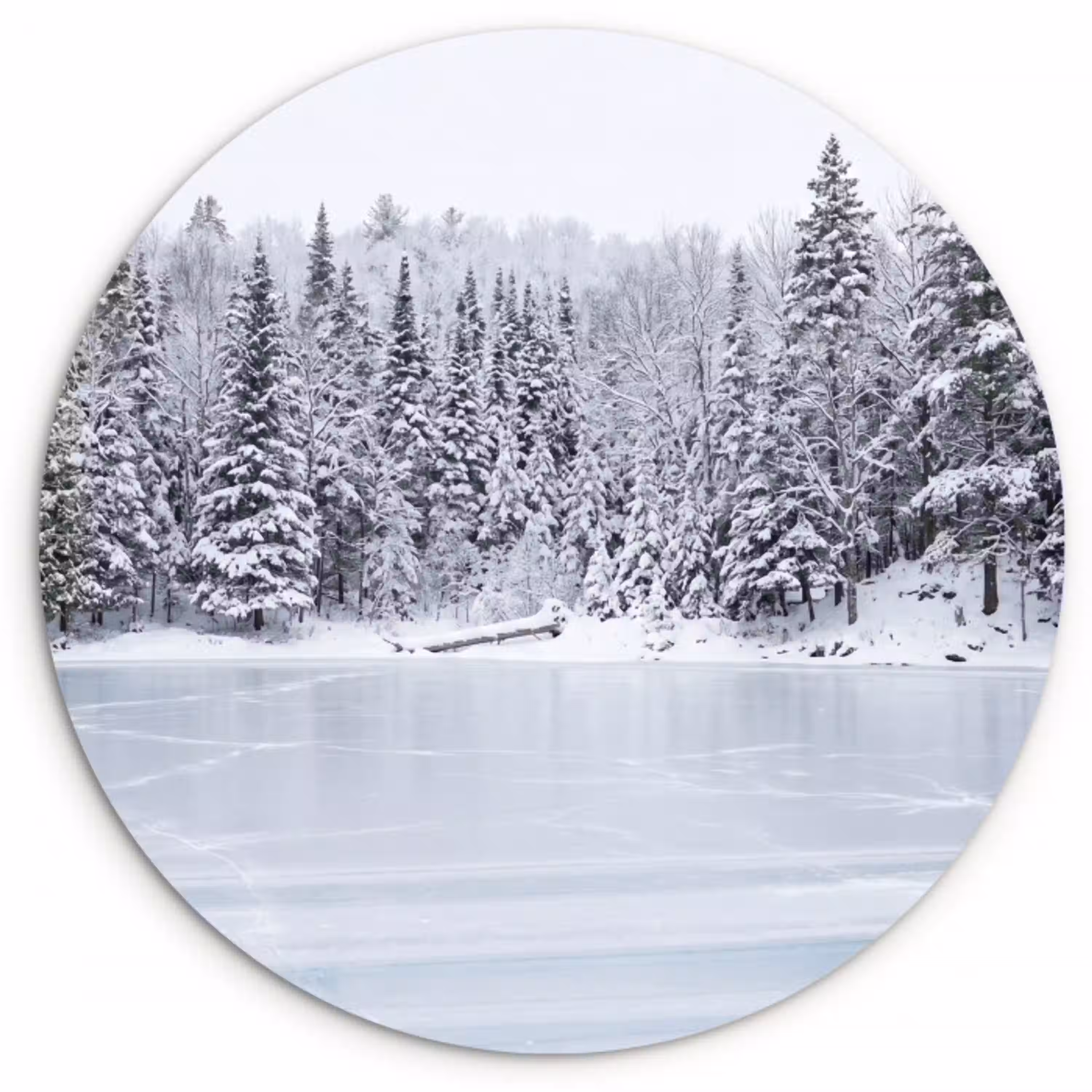 Meer - Dennen - IJs - Winter - Rustgevend Wandcirkel kunststof plaat 5mm dik klein -3d
