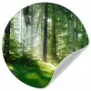 Natuur - Bomen - Bos - Groen - Zon - Gras - Planten Wandcirkel behangsticker klein -3d