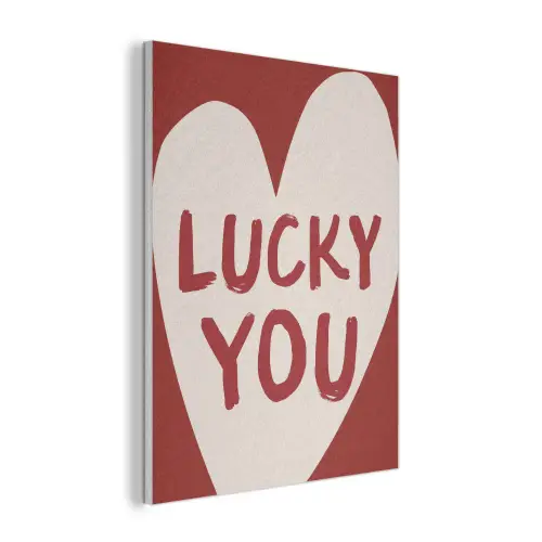 Lucky - Hart - Rood PET vilt klein -3d