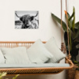 Koe - Schotse hooglander - Zwart - Wit - Dier - Natuur - Wild tuinposter los doek klein -sfeer7