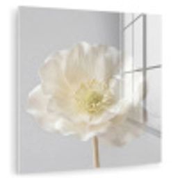 Bloem - Minimalistisch -Wit plexiglas 5mm klein -zzzproduct_nieuw