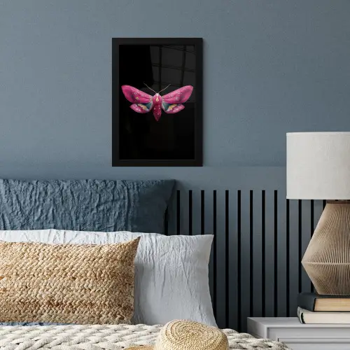 Vlinder - Roze - Nachtvlinder fotolijst zwart zonder passe partout klein -sfeer3