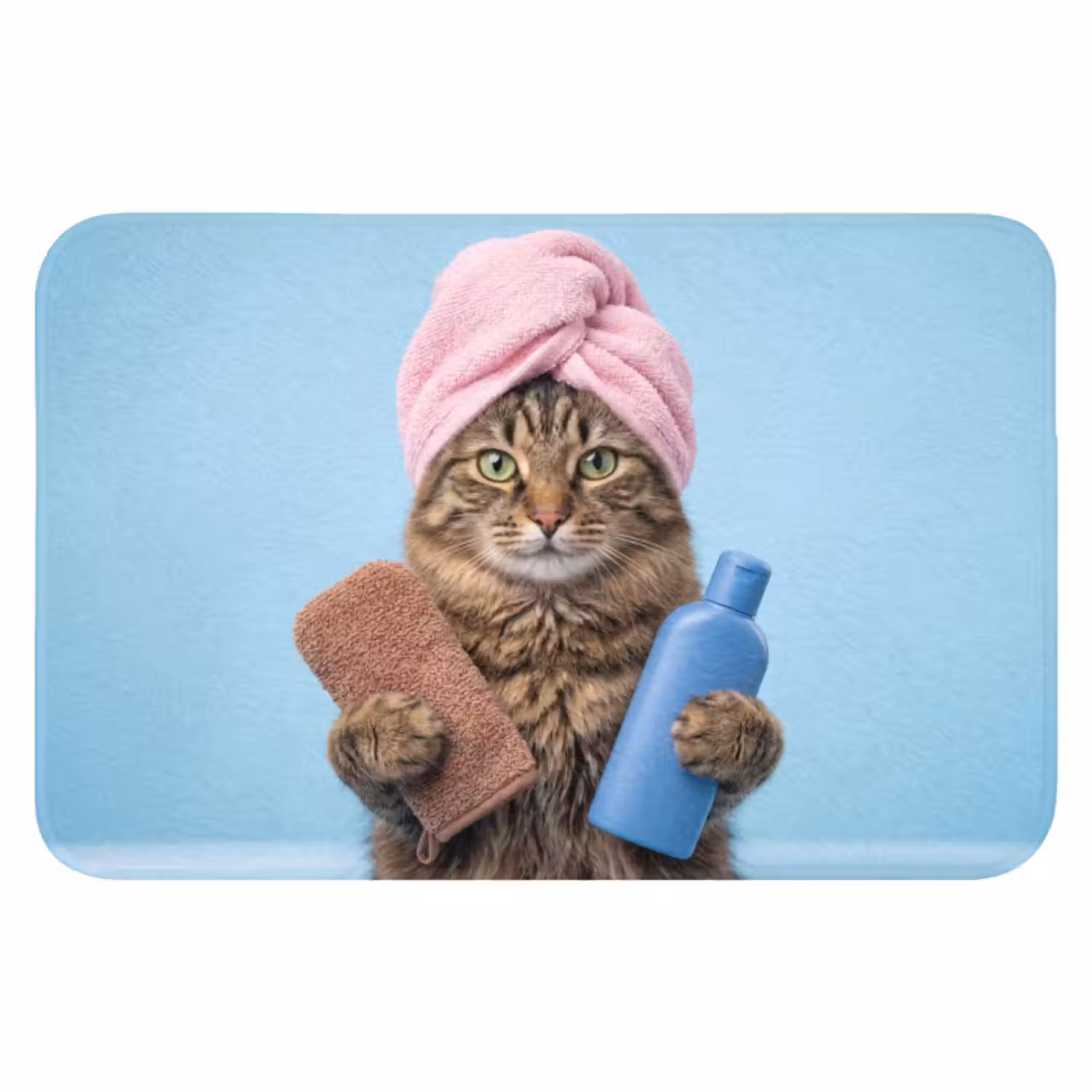 Badmat - Kat - Handdoek - Washand - Zeep