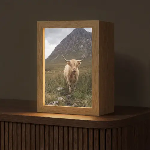 Schotse hooglander - Bergen - Grasveld Light Box met kabel (Tafellamp) klein -z3d_website