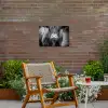 Schotse hooglander - Koe - Zwart - Wit - Dieren Tuinposter op houten frame 2 cm dik klein -sfeer3