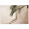 Palmboom - Schaduw - Trap - Beige poster papier klein -3d
