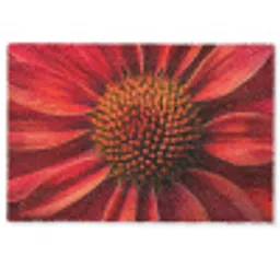 Close up - Bloem- Rood Deurmat klein -zkaufland3d