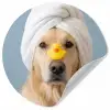Hond - Badeend - Geel Wandcirkel behangsticker klein -3d