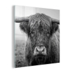 Schotse hooglander - Zwart - Wit - Gras plexiglas 5mm klein -z3d