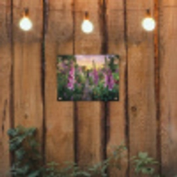 Vingerhoedskruid - Bloemen - Tuin tuinposter los doek klein -sfeer1