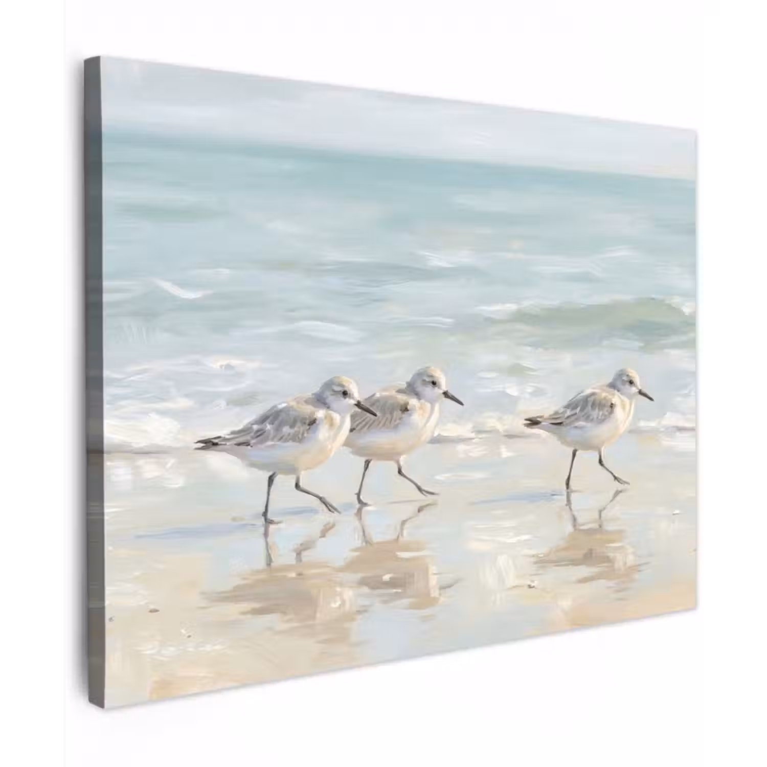 Canvas Print - Birds - Beach - Sea
