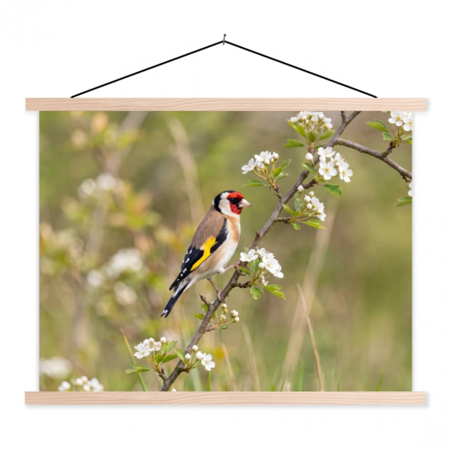 Putter - Bloesem - Lente - Natuur - Kleurrijk textielposter latten blank klein -3d