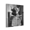 Schotse hooglander - Koe - Krant - WC - Zwart wit aluminium wit klein -3d