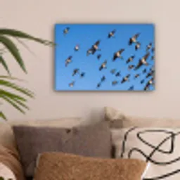 Zwaluwen - Vliegen - Blauw canvas 2cm klein -sfeer1
